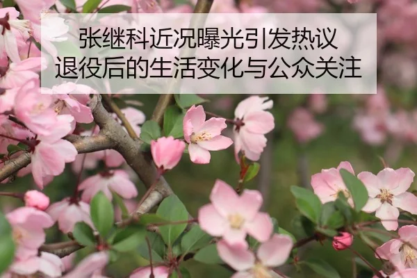 张继科近况曝光引发热议 退役后的生活变化与公众关注