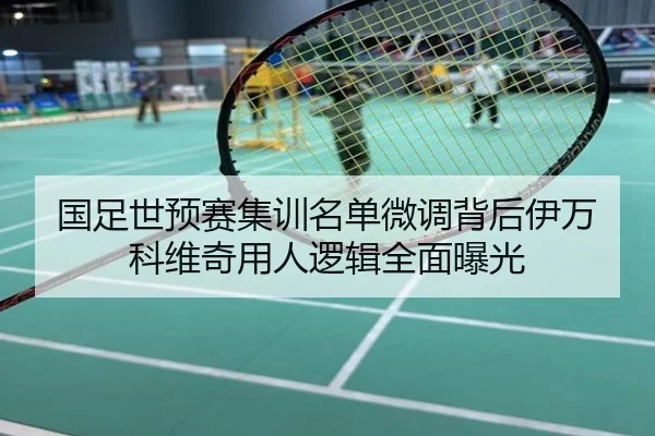 国足世预赛集训名单微调背后伊万科维奇用人逻辑全面曝光
