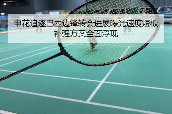 申花追逐巴西边锋转会进展曝光速度短板补强方案全面浮现